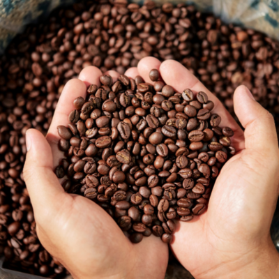 Does dark roast coffee have more caffeine?