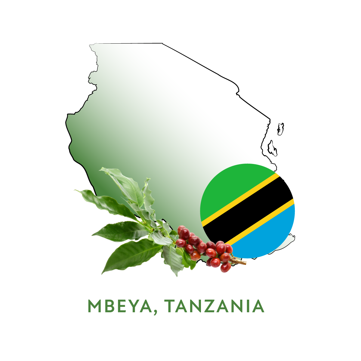 Medspresso™️ CBD-Infused Mbeya Tanzanian Peaberry Coffee – 10 Pods